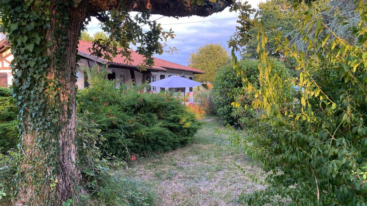 Cool Landes Villa Sainte-Eulalie-en-Born Exterior foto