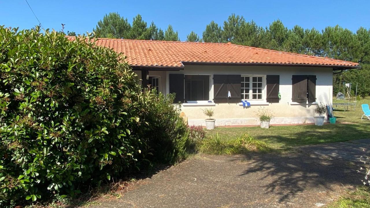 Cool Landes Villa Sainte-Eulalie-en-Born Exterior foto